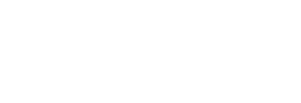 Streamer ストリーマー 